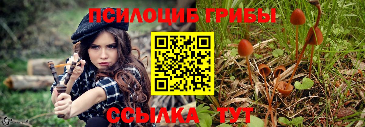 Псилоцибиновые грибы мицелий  Вход с VPN  Новодвинск 